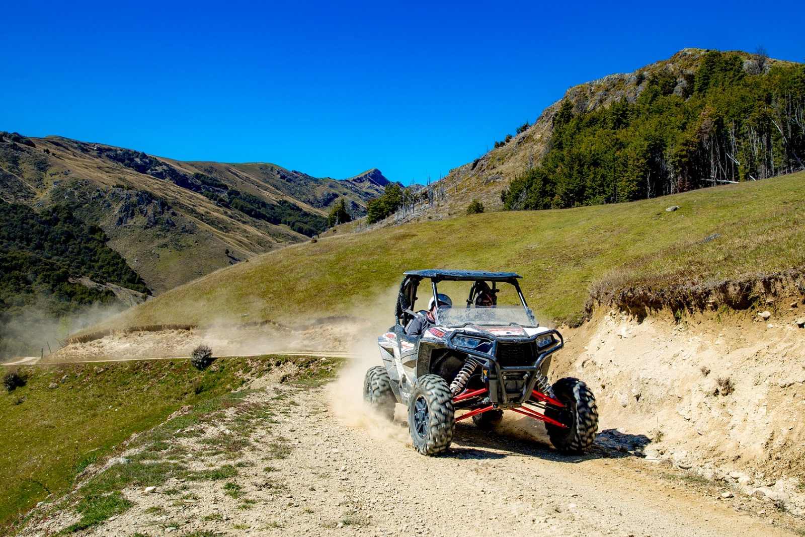 travel buggy nz